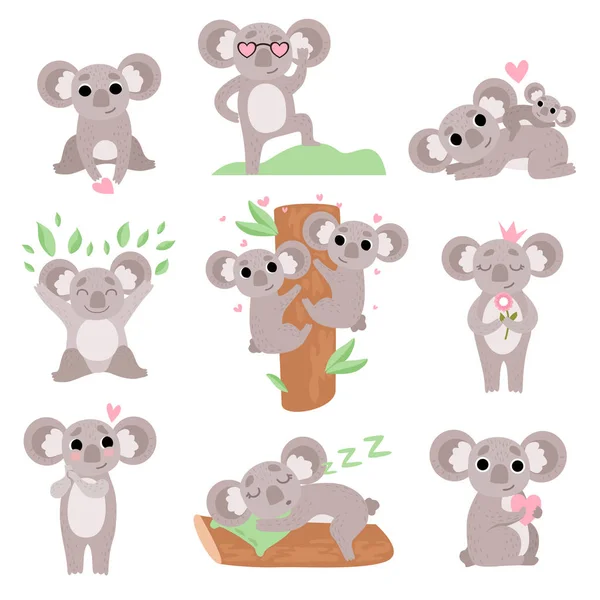 Lindo conjunto de osos de Coala, personajes divertidos de dibujos animados de animales en varias poses y situaciones Vector Illustration — Vector de stock