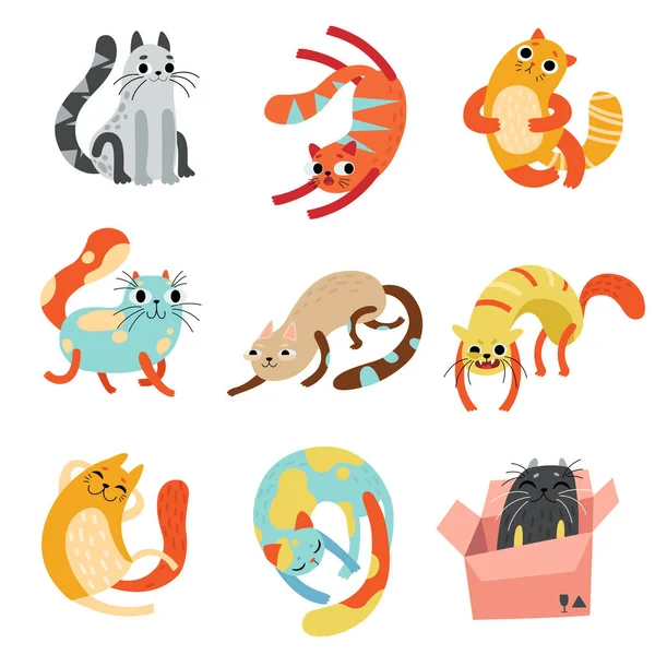 Verzameling van Cute Funny Cats in verschillende Poses vectorillustratie — Stockvector