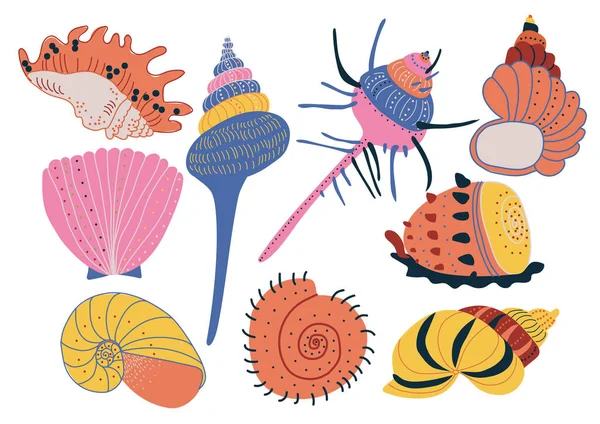Collection of Seashells, Colorful Tropical Underwater Shells and Creatures Vector Illustration — Stock Vector