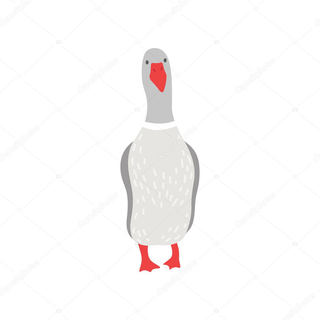 Cute White Goose Cartoon Character Front View Vector Illustration