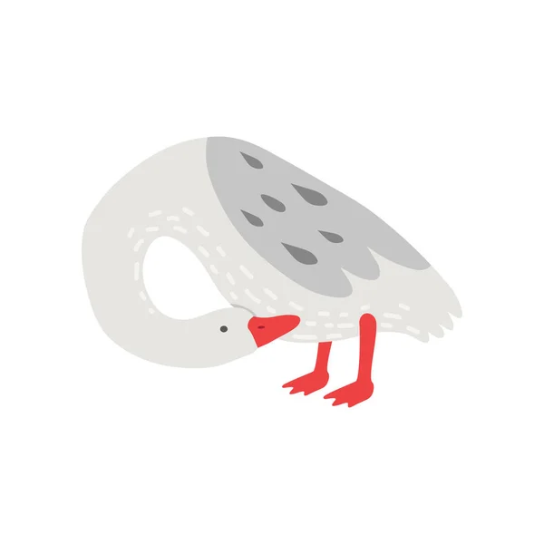 白色鹅与灰色翅膀, 可爱的鸟卡通字符矢量插图 — 图库矢量图片