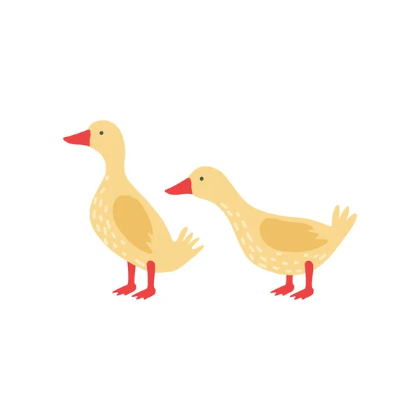 Two Cute Yellow Goslings Cartoon Characters Vector Illustration