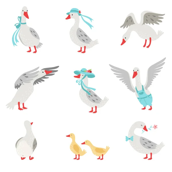Collectie van ganzen en Goslings in verschillende situaties, witte vogels Cartoon tekens vectorillustratie — Stockvector