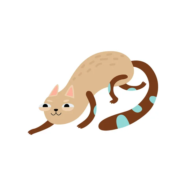 Glissement de chat drôle, illustration vectorielle de caractère animal mignon — Image vectorielle