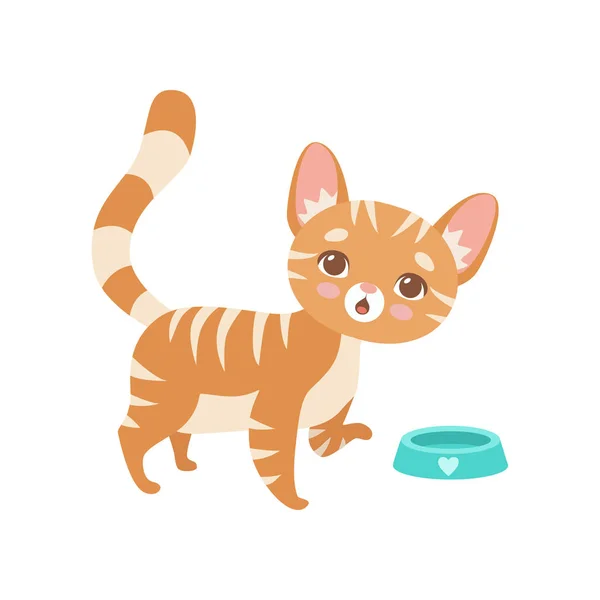 Pruhovaný červená kočka žere, Roztomilý kotě domácí postava vektorové ilustrace — Stockový vektor