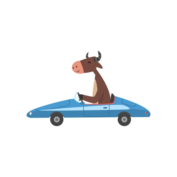 Coche azul de la conducción de la vaca, carácter animal de granja usando la ilustración del vector del vehículo — Vector de stock