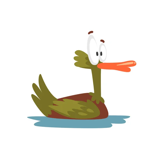 Crazy Male Mallard Duck Swimming, Funny Bird Cartoon Character Vector Illustration - Stok Vektor