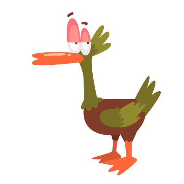 Zelf vertrouwen mannelijke Mallard Duck, grappige vogel Cartoon karakter Vector Illustratie — Stockvector