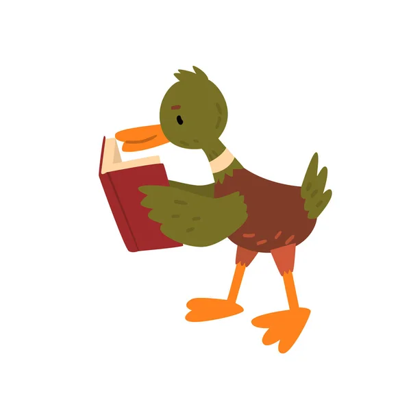 Cute Male Mallard Duck Reading Book, Funny Duckling Cartoon Character Vector Illustration - Stok Vektor