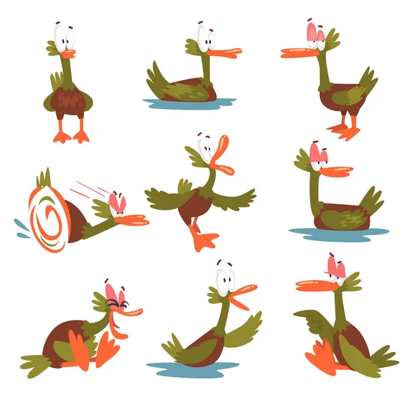 Grappige mannelijke Mallard Duck Set, komische vogel Cartoon karakter in verschillende situaties vectorillustratie — Stockvector