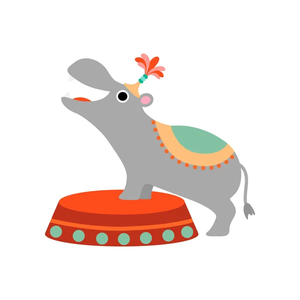 Cute Hippo at Stage, Funny Animal Performing in Circus Show Vector Illustration