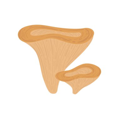 Orman yenilebilir Lactarius mantar, vahşi organik ürün vektör çizim