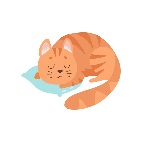 Lindo gato rojo animal durmiendo en almohada vector ilustración — Vector de stock