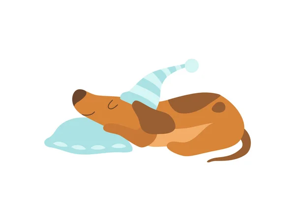 Bonito Dachshund cão animal dormindo em travesseiro Vector Ilustração — Vetor de Stock