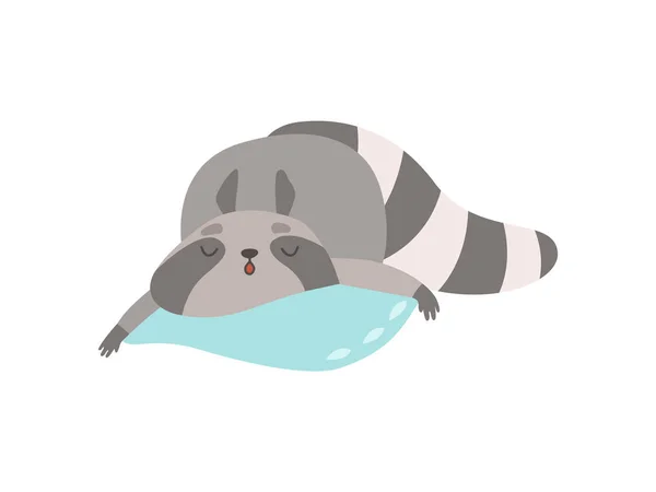 Ρακούν χαριτωμένο ζώο κοιμάται σε μαξιλάρι εικονογράφηση διάνυσμα — Διανυσματικό Αρχείο
