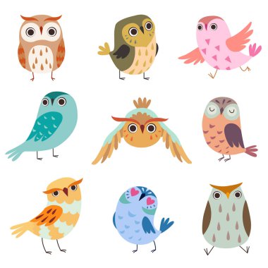 Şirin Owlets, renkli sevimli baykuş kuş topluluğu beyaz arka plan üzerinde illüstrasyon vektör