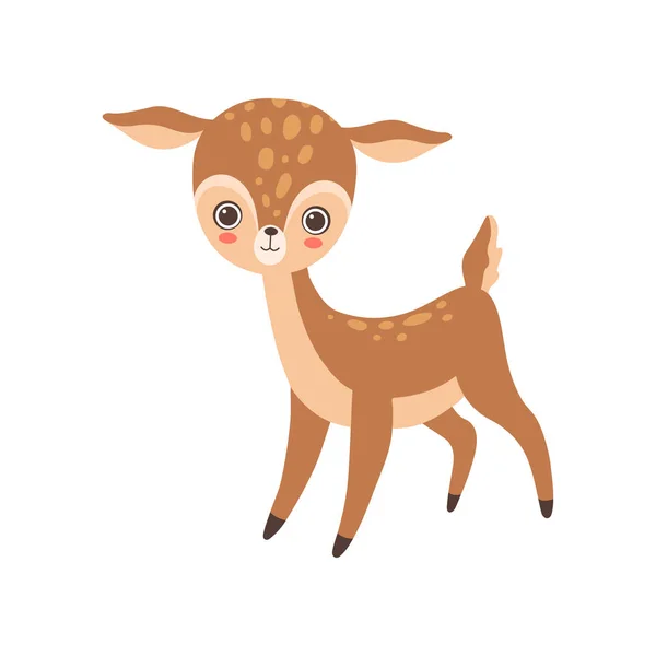 Venado bebé lindo, Bosque encantador Fawn Animal Vector Ilustración — Archivo Imágenes Vectoriales