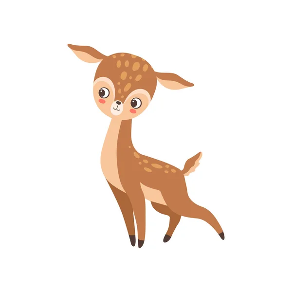 Bonito bebê cervo floresta Fawn animal vetor ilustração —  Vetores de Stock