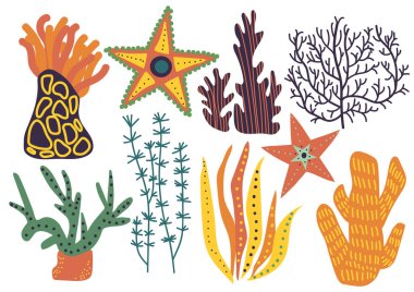 Deniz veya akvaryum doğal yosunlar cabukşalterli, renkli sualtı bitkiler vektör çizim