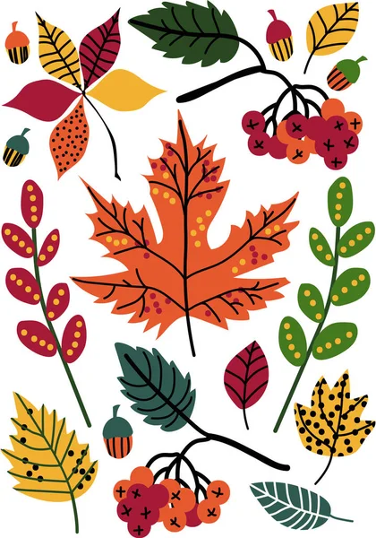 Colorful Autumn Leaves and Berries, Floral Seamless Pattern, Seasonal Decor Vector Illustration — Stock Vector