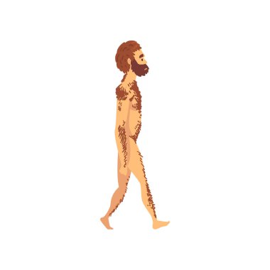 Male Neanderthal, Biology Human Evolution Stage, Evolutionary Process of Woman Vector Illustration clipart