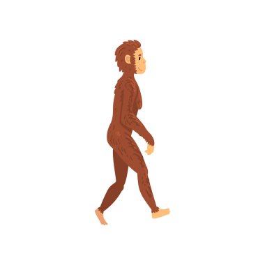 Female Homo Erectus, Biology Human Evolution Stage, Evolutionary Process of Woman Vector Illustration clipart