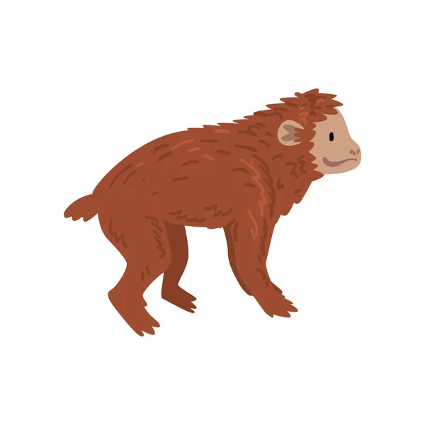 Macaco, Progresso Animal do Macaco, Processo Evolutivo da Ilustração do Vetor da Mulher — Vetor de Stock