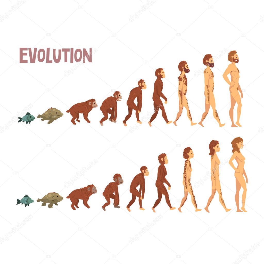 Biology Human Evolution Stages, Evolutionary Process of Man and Woman Vector Illustration