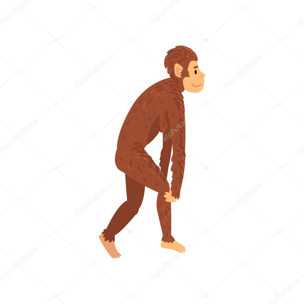 Female Australopithecus, Biology Human Evolution Stage, Evolutionary Process of Woman Vector Illustration