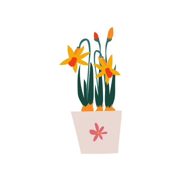 Frühling Narzissen Blumen im Blumentopf, schöne Topfpflanze Vektor Illustration — Stockvektor