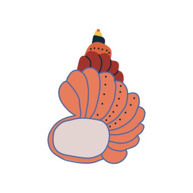 Deniz sualtı tropikal deniz kabuğu vektör çizim beyaz arka plan üzerinde