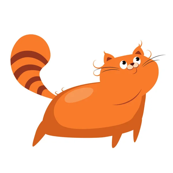 Cat. Funny Alphabet, Animal Vector Illustration — Stock Vector