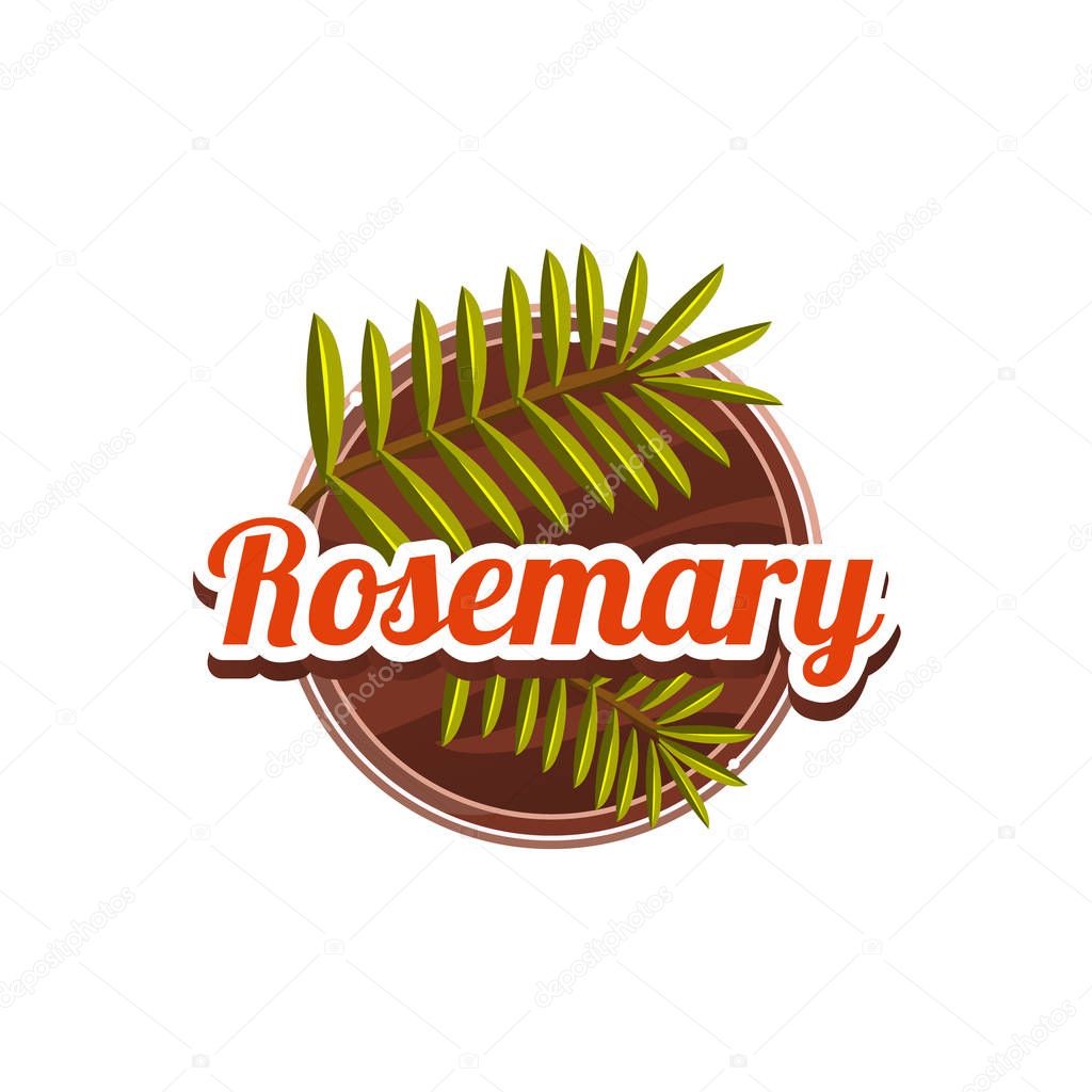 Rosemary Spice. Vector Illustration.