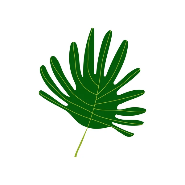 Tropikal palmiye yaprağı, egzotik botanik tasarım öğesi vektör çizim — Stok Vektör