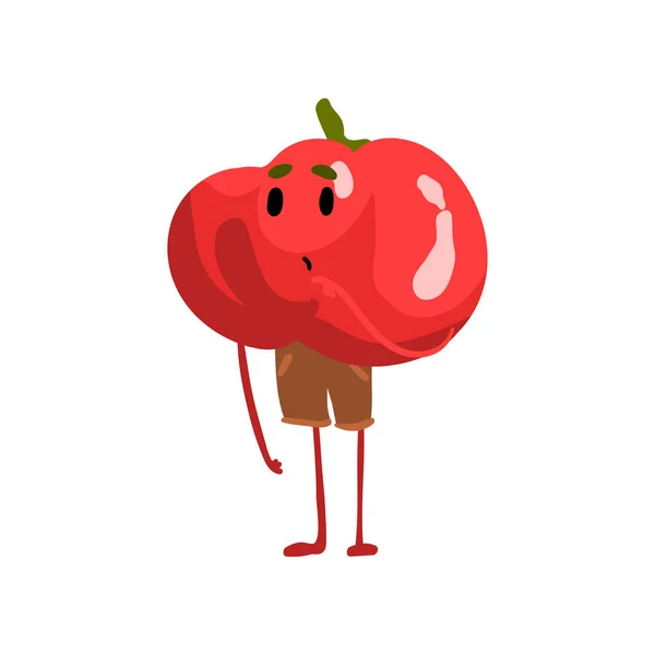 可爱的混乱番茄蔬菜字符与有趣的脸向量插图 — 图库矢量图片