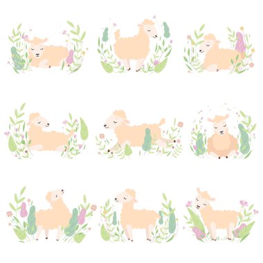 Güzel bahar çayır, farklı pozlar vektör çizim içinde şirin koyunlar üzerinde sevimli küçük kuzular topluluğu