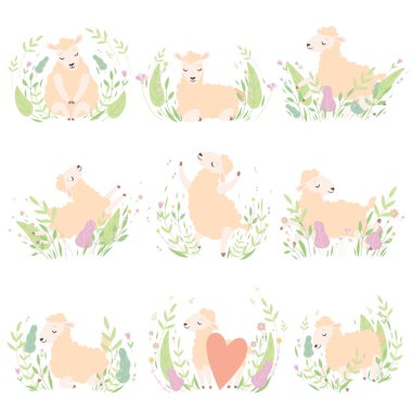 Sevimli küçük kuzular ayarla, sevimli koyun hayvanlar üzerinde bahar çayır vektör çizim