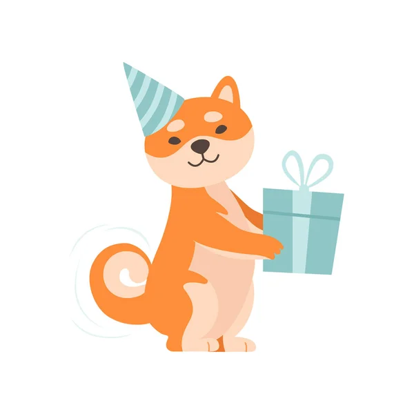 Shiba Inu hond in partij hoed houden de doos van de Gift, leuke grappige Japan huisdier dierlijk beeldverhaal karakter vectorillustratie — Stockvector