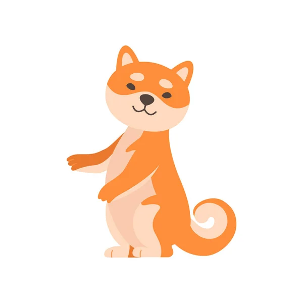 Shiba Inu Dog Standing on Two Legs, Cute Funny Japan Pet Animal Cartoon Character Vector Illustration — Stock Vector