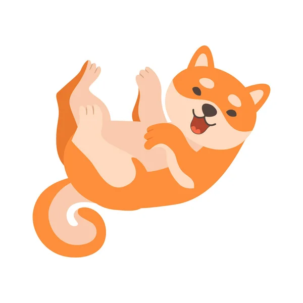 Shiba Inu Dog Lying on Its Back, Cute Funny Japan Pet Animal Cartoon Character Vector Illustration — Stock Vector