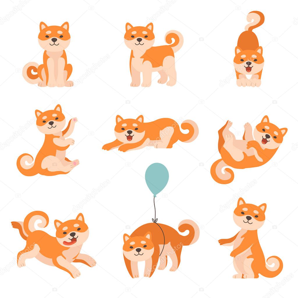 Shiba Inu Dogs Performing Everyday Activities Set, Adorable Japan Pets Animals Cartoon Characters Vector Illustration