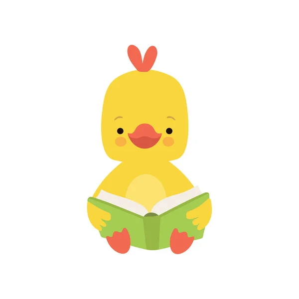 Livro de leitura de frango bonito, adorável personagem de pássaro inteligente sentado com ilustração de vetor de livro — Vetor de Stock