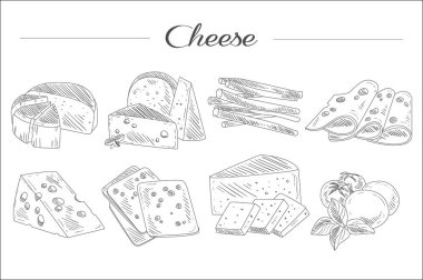 El peynir farklı türleri kümesi çekilmiş. Organik ve taze süt ve süt ürünleri. Gerçekçi kroki tarzı simgeleri. Tek renkli vektör tasarım dekorasyon için