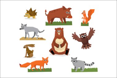 Komik orman hayvanları renkli topluluğu. Tilki, rakun, kirpi, sincap, kurt, tavşan, yaban domuzu, Kuzey Amerika boz ayısı ve baykuş. Çizgi film düz vektör tasarımı