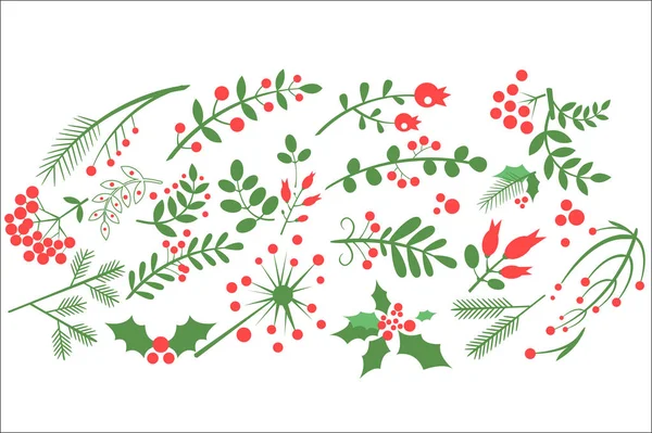 Flat vectoe sof natural decorative elements. Red rowan berries, branches of fir, green leaves and other blossoming plants. Design for greeting card — Stock Vector