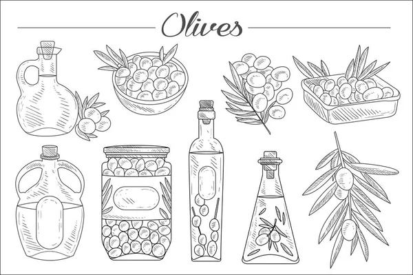 Zbiór oliwek monochromatyczne, oddziałów, różne butelki oleju i miski. Naturalny produkt. Ikony stylu szkicu. Ręcznie rysowane elementy wektorowe do dekoracji — Wektor stockowy