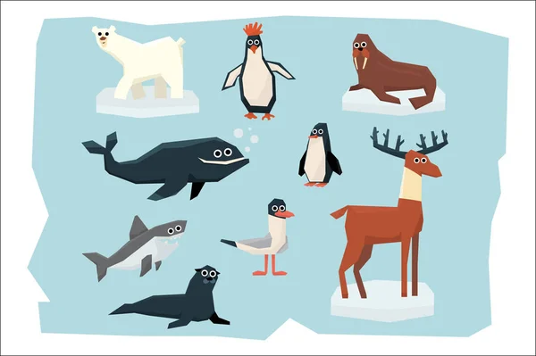 Collezione di cartoni animati di diversi animali artici e antartici. Orso polare, pinguino, albatro, renna, foca, tricheco, squalo e balena. Design vettoriale piatto colorato — Vettoriale Stock