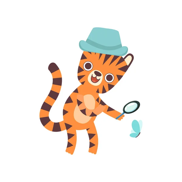 Lindo pequeño tigre usando sombrero de Panamá mirando a través de lupa en mariposa, adorable animal salvaje dibujo animado personaje vectorial ilustración — Vector de stock