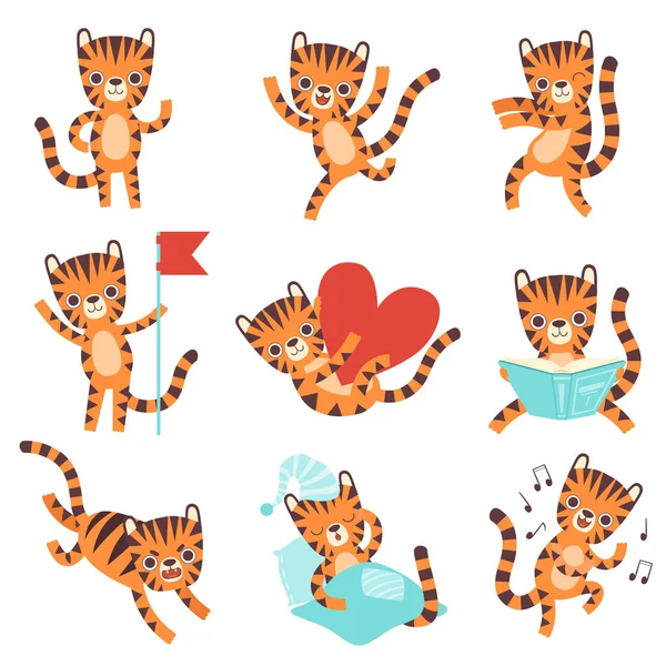 Tigre pequeño lindo en diversas situaciones fijadas, ilustración adorable divertida del carácter de la historieta del animal salvaje Vector — Vector de stock