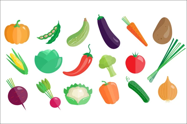 Fresh vegetables big set, healthy vegetarian organic food vector Illustrations on a white background — Stock Vector